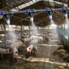 Farms Cooling Misting Kit for Cattle/Chicken/Pig/Duck