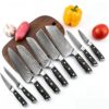 Felvixanor 9‑Piece 67‑Layer Damascus Steel Kitchen Knife Set G10 Handle