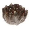 FewNvWa 100 Pieces Chicken Feathers Trim Fringe Ribbon Feather Trims Spotted Feathers Craft Feathers Soft Dyed Border for and Hemming Work Suitable for, Brown