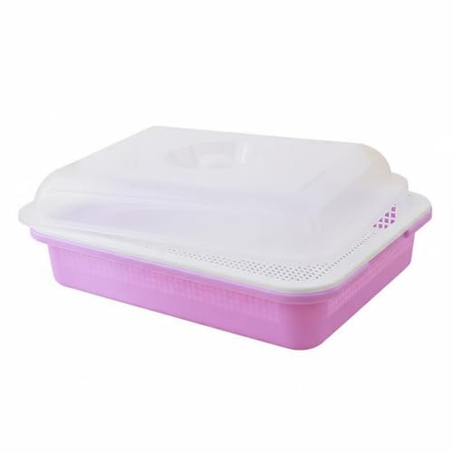 FewNvWa Vegetable Planting Tray Sprout Starter Tray Double- Insert Deep Water Reservoir Easy Soilless Growing Suitable for Home Kitchen Balcony Gardening, Color to 5, Deep with Lid