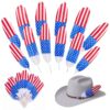 FillTouch 10 Pcs American Flag Painted Feathers Patriotic Red White Blue Feather with Stripes Star Bulk for 4th of July Crafts, Independence Day Wreath and Party Table Decor