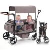 First Ride On Wagon Stroller Two Seaters Pink