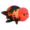 Fish Stuffed Animal Cute Plush Toy 3D Ranchu Carp