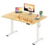 FitStand 48x 30x 1''One-piece Standing Desk Stand Up Adjustable Desk