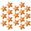 Five-Petal Flower Sequins and Gold Tone for Clothing Craft Decoration