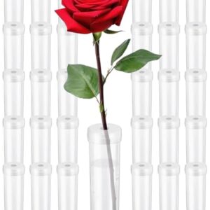 FIVEIZERO 30PCS Leak-Proof Plastic Water Tubes with Caps - 2.8 Inch Clear Floral Flower Water Tubes for Arrangements, Single Stem Roses, Bouquets, 0.68 Inch Opening