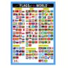 Flags of the World Poster,Laminated,Geography Classroom Decor,16"x22.8"