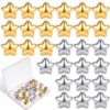 FNANJWQ 30PCS Silver Gold Star Push Pins for Wall, Decorative Thumb Tacks