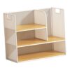 Fonowx Office Desktop Organizer, Maganize File Holder Portable Space Saving Document Rack Stationary Storage for Countertop