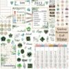 Forest-Themed Calendar Bulletin Board Set with Stickers