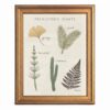 Framed Canvas Wall Art Vintage Prehistoric Plants Botanical Chart Beige Linen Canvas Print Poster Gold Frame Wall Decor for Kids Playroom Bedroom Nursery Poster, Paleontology Art - Inch 16x20