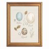 Framed Canvas Wall Art Vintage Woodland Bird Eggs Cream Robin Owl Quail Watercolor Canvas Print Poster Gold Frame Wall Decor for Nursery Bedroom Alphabet Poster, Educational Art - Inch 24x36