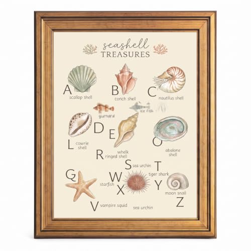 Framed Canvas Wall Art Whimsical Seashell Chart Sage and Terracotta Canvas Print Poster Gold Frame Wall Decor for Nursery Kids Room Coastal Art, Educational Decor - Inch 24x36