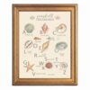 Framed Canvas Wall Art Whimsical Seashell Chart Sage and Terracotta Canvas Print Poster Gold Frame Wall Decor for Nursery Kids Room Coastal Art, Educational Decor - Inch 12x16