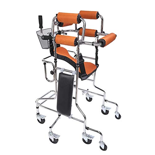 FRUPPL Walking Aid Medical Instruments Adjustable Stand Brake Casters and Storage Baskets Foldable Anti Rollover Anti Backward Adult Bearing 100Kg Disabled for The Elderly Sectio (Section B)
