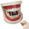 Fun Denture-Shaped Stapler, Funny Teeth Shaped Mini Desktop Office Stapler