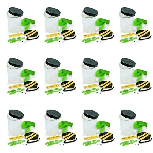 Fun Express Bug Catcher Kit for Kids - Makes 12 Bug Jars with Craft Supplies | Bug House Container with Ventilated Lids for Lightning Bug Catching | VBS Crafts, Bug Party Favors & Nature Explorer Kit