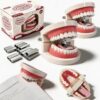 Funny Denture Shaped Stapler - Hilarious Teeth Model Stapler, Novelty Creative Office Supply, Perfect for Office Pranks, Cool Stationery Lovers and Dental Students，2PC