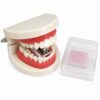 Funny Denture Shaped Stapler, Mini Desktop Office Stapler
