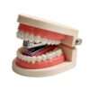 Funny Teeth Shaped Mini Desktop Office Stapler Novelty Gift B Rhinestone