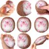 Gemscream 5 Pcs Hedgehog Foam Balls for Adults Funny Reliever Ball