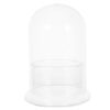 Glass Cloche Terrarium Jar for DIY Moss Hydroponic Micro Landscape