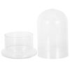 Glass Micro Landscape Terrarium Bottle for DIY Indoor Gardening
