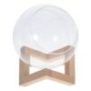 Glass Plant Terrarium with Wood Stand for Hydroponic Plants
