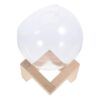 Glass Plant Terrarium with Wood Stand Round Vase