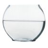 Glass Terrarium Bowl Creative Modern Bowl for Plant Display
