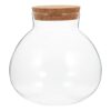 Glass Terrarium Jar with Cork Lid for Air Plants and Spices