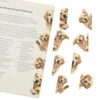 Golden Retriever Gifts for Dog Lovers and Book Readers-8PCS