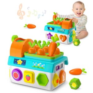 Grasili Musical SortingToys for 1 Year Old Boy, 1st First Birthday Boy Girl Gifts Presents, Montessori Educational Learning Toddler Toy, Fine Motor Skills Toy
