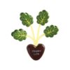 Green Plant Fridge Magnets Bag Clip - Magnetic Note Holder for Home