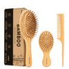 GREENTH PRO Bamboo Hair Brush & Bamboo Comb Set for Women/Men/Kids,Natural Wooden Detangling Brush &Tail Comb for Wet/Dry (Curly/Thick/Thin) Hair-Wooden Hair Brush for Women Gift Kit