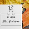 Greyhound Peeking Ex Libris Book Stamp, Duo Hand Mount, 1-5/8 Square