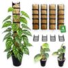 GroMod Stackable Moss Pole 4 Pack with 16 Clips for Monstera & Pothos