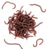 HaiFafafaing 50 Pcs Fake Worms Earthworm 3.15in Rubber Earthworms Trick Toys Halloween