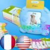 HALCONTORNO Bilingual English French Flash Cards for Kids - 510 Words, Blue