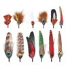 Hat Feathers Crafting 10-15 5 Cm Length DIY