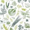 Herbs & Spices Design Paper Napkins 13 x 13 in Pack of 20