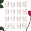HERON Hand Soap Tablets, Cleansing Tablets for Hand Washing, Lavender, Vanilla, Honey, Aloe Vera, Coconut, Lemon, Rose, and Almond (Rose Garden, 16 Tablets Only)