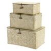 Hipiwe Set of 3 Wicker Storage Basket Bin with Lid Large Woven Seagrass Box
