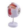 Human Eye Model Anatomy 3D Enlargement for Ophthalmology 6 Times Human Eyeball Anatomical Model Medical Science Simulation Eyeball Magnification Teaching Exportable Removable