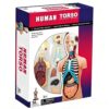 Human Torso Anatomy Model 4D, Detachable Human Body Organ Structure Model
