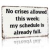 Humorous Office Quote Metal Sign 8x12 In No Crises Allowed This Week; My