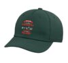 in A Lab It's Called Chemistry in A Garage It's Called Felon Adjustable Printed Baseball Hat, Dark Green