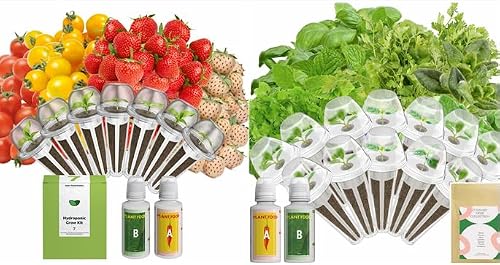 inbloom 7 Pods Fruit Seed Pod Kit and 12 Pods Gourmet Herb Seed Pod Kit for AeroGarden, Ahopegarden, GARDENCUBE, MUFGA, iDoo Hydroponics Growing System