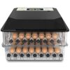 Incubators Hatching Eggs Incubator Digital Poultry Automatic Temperature Humidity Control Automatic Egg Turning LED Egg Candle Tester