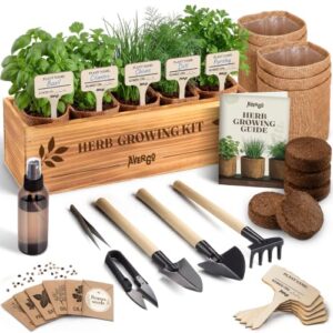 Indoor Herb Garden Kit, Herb Growing Kit for Kitchen and Windowsill
